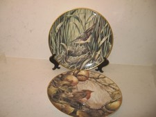 Rspb bird plates for sale  WELLINGBOROUGH