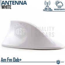 Antenna auto pinna usato  Italia