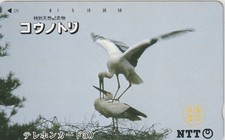 Tier animal vogel gebraucht kaufen Tier animal vogel gebraucht kaufen  Hagen