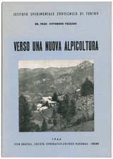 Verso una nuova usato  Italia