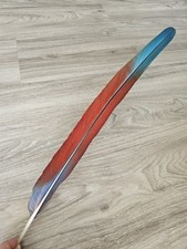 Feder papageienfeder ara gebraucht kaufen  Haarbach