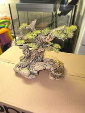 Aquarium bonsai baum gebraucht kaufen  Jüterbog