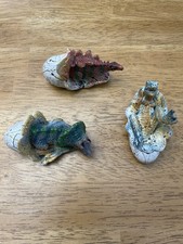 Baby allosaurus stegosaurus for sale  Anderson