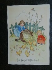 Alte mädchen küken gebraucht kaufen  Beverstedt