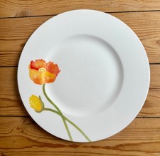 Villeroy boch frühstückstell gebraucht kaufen  Hamburg
