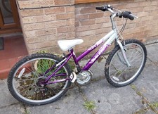 Girl raleigh bike for sale  LIVERPOOL