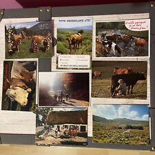 Cartes postales vaches d'occasion  Derval