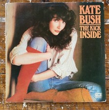 Kate bush the usato  Castelfidardo