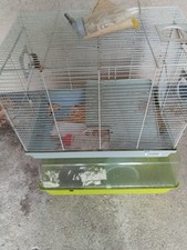 Hamster mouse rat for sale  PLYMOUTH