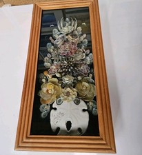 Julio meza shell for sale  Flagstaff