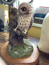 Large owl ornament for sale  WADEBRIDGE