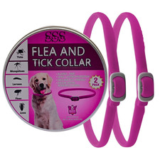 2pz collare antipulci usato 2pz collare antipulci usato  Zoagli