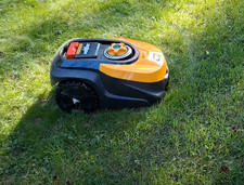 Robot tagliaerba mowox usato  Villa Celiera