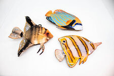 tropical fish art for sale  La Mesa