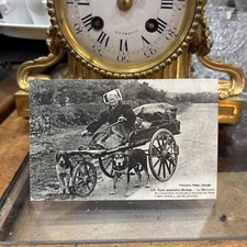 Old postcard dog d'occasion  Expédié en Belgium