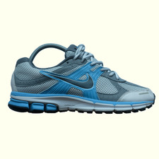 Nike pegasus metallic for sale  Tulsa