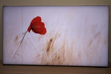 Samsung gq65q950tstxzg qled gebraucht kaufen  Korschenbroich