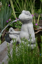 Frosch lotussitz yogafrosch gebraucht kaufen  Bergisch Gladbach