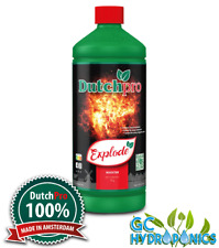 Dutch pro explode for sale  CLYDEBANK