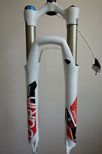 Magura durin race for sale  LONDON