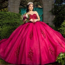 Usado, Vestidos Quinceanera sem alças apliques de tule laço sem costas vestidos de festa de aniversário comprar usado  Enviando para Brazil