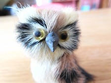 Chouette hibou poils d'occasion  Ussac