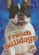 French bulldogs library for sale  Mishawaka