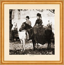 Sofija hatz damensattel gebraucht kaufen Sofija hatz damensattel gebraucht kaufen  Grabenstätt