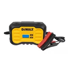 Dewalt professional amp for sale  Harrisburg
