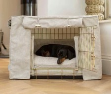Lords labradors gold for sale  LONDON