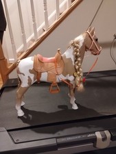 Generation palomino paint for sale  Columbia
