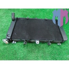 Radiatore acqua kawasaki usato  Napoli
