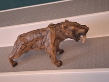 Smilodon sabre tooth for sale  RUGBY