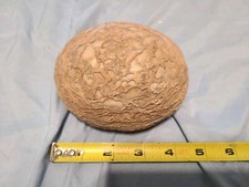 dinosaur egg for sale dinosaur egg for sale Brookfield