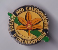 Rare pins pin d'occasion  Ménéac