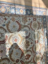 9 ft 12 ft area rug for sale 9 ft 12 ft area rug for sale Chester