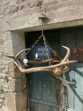 Superbe grand ancien d'occasion  Auray