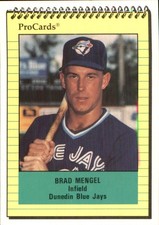 Brad mengel 1991 for sale  USA