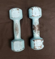 dumbbells light weights for sale  Wilkes Barre