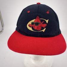 Vintage chuy tex for sale  Colonia