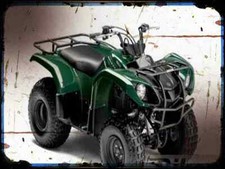 Photo motorbike grizzly for sale  UK