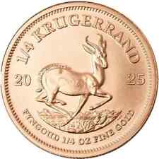 krugerrand 1 unze gold gebraucht kaufen  Borgholzhausen