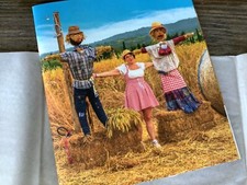 Fattoria vialla weines gebraucht kaufen Fattoria vialla weines gebraucht kaufen  Hamburg