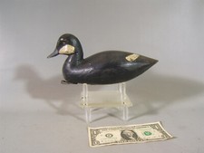 Hen bufflehead duck for sale  Island Heights