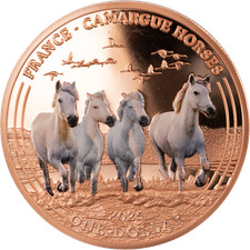 2025 mesa grande for sale  USA
