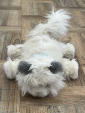 little pet live for sale little pet live for sale NARBERTH