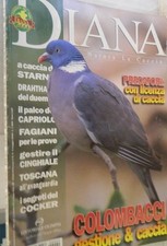 Diana 2000 toscana usato  Salerno