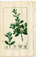 Antique print pl.80 d'occasion  Expédié en Belgium