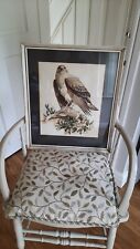 Vintage bird prey for sale  NOTTINGHAM