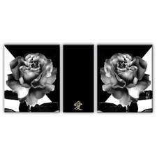 Rose blume schwarz gebraucht kaufen  Deutschland